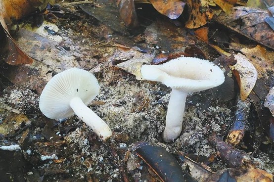 圖片關(guān)鍵詞 圖片關(guān)鍵詞