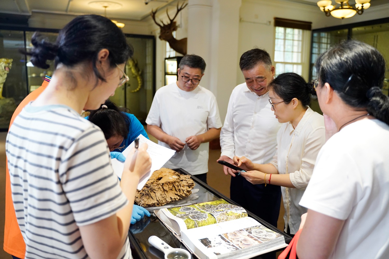 圖片關(guān)鍵詞 圖片關(guān)鍵詞