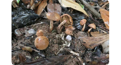 行業(yè)動態(tài)